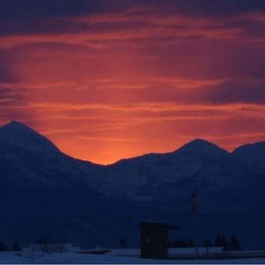 Meet your Posher, Ella